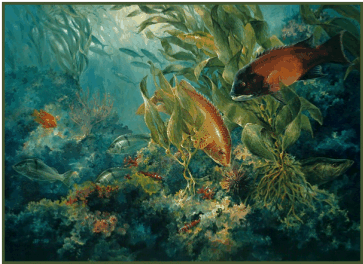 From oil painting: Kelp Forest